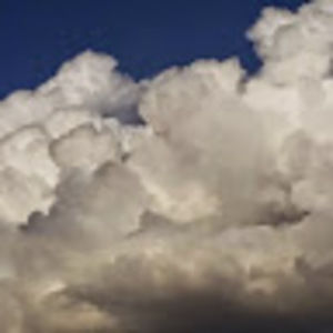 Meet your Posher, Annette